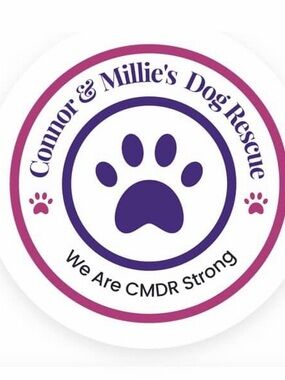 Connor and Millie‘s dog rescue 100% Donation Fundraiser Graphic - Blue & Green